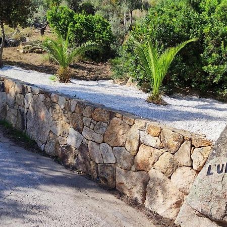 Casa L'Ulivariu Affittacamere San Teodoro  Extérieur photo