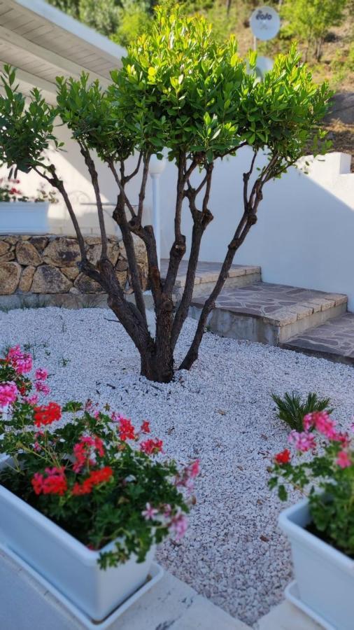 Casa L'Ulivariu Affittacamere San Teodoro  Extérieur photo