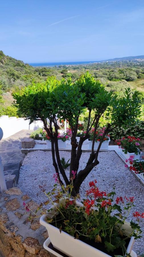 Casa L'Ulivariu Affittacamere San Teodoro  Extérieur photo