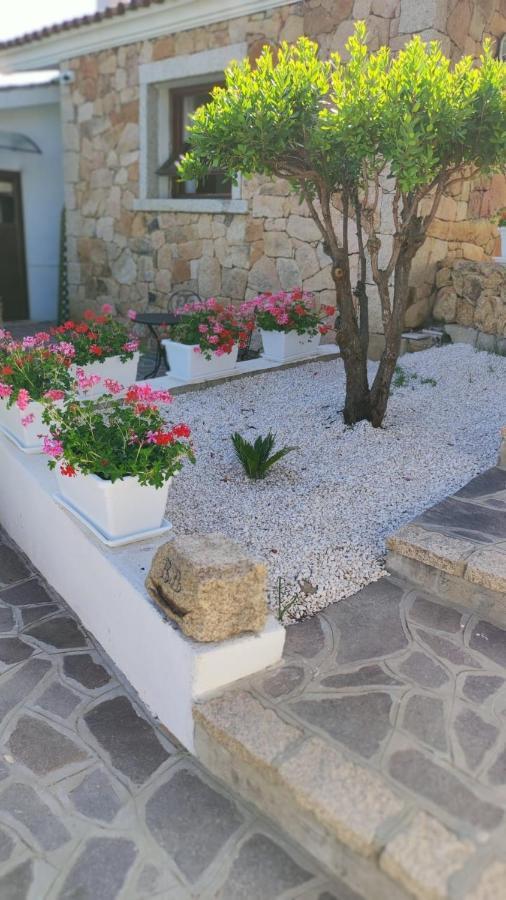 Casa L'Ulivariu Affittacamere San Teodoro  Extérieur photo