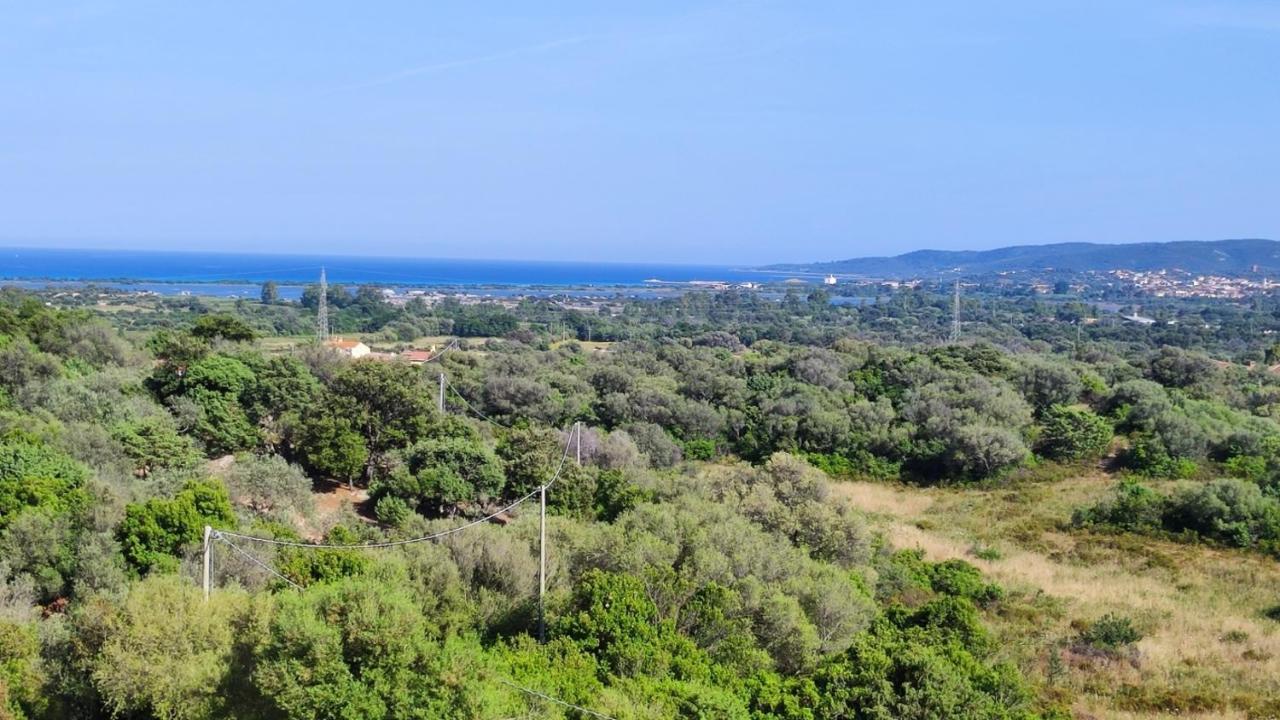 Casa L'Ulivariu Affittacamere San Teodoro  Extérieur photo