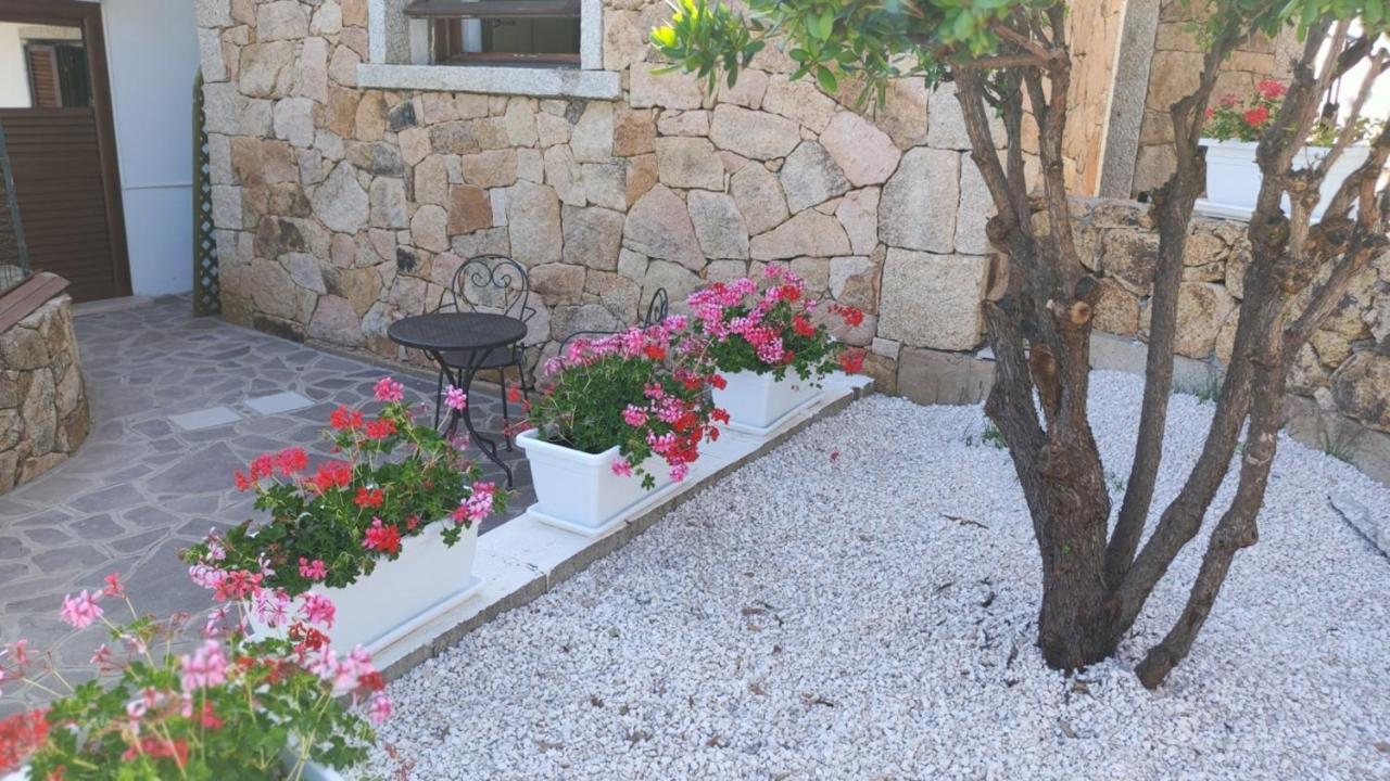 Casa L'Ulivariu Affittacamere San Teodoro  Extérieur photo