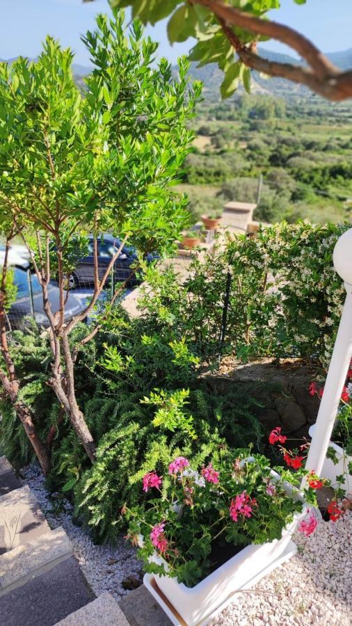 Casa L'Ulivariu Affittacamere San Teodoro  Extérieur photo
