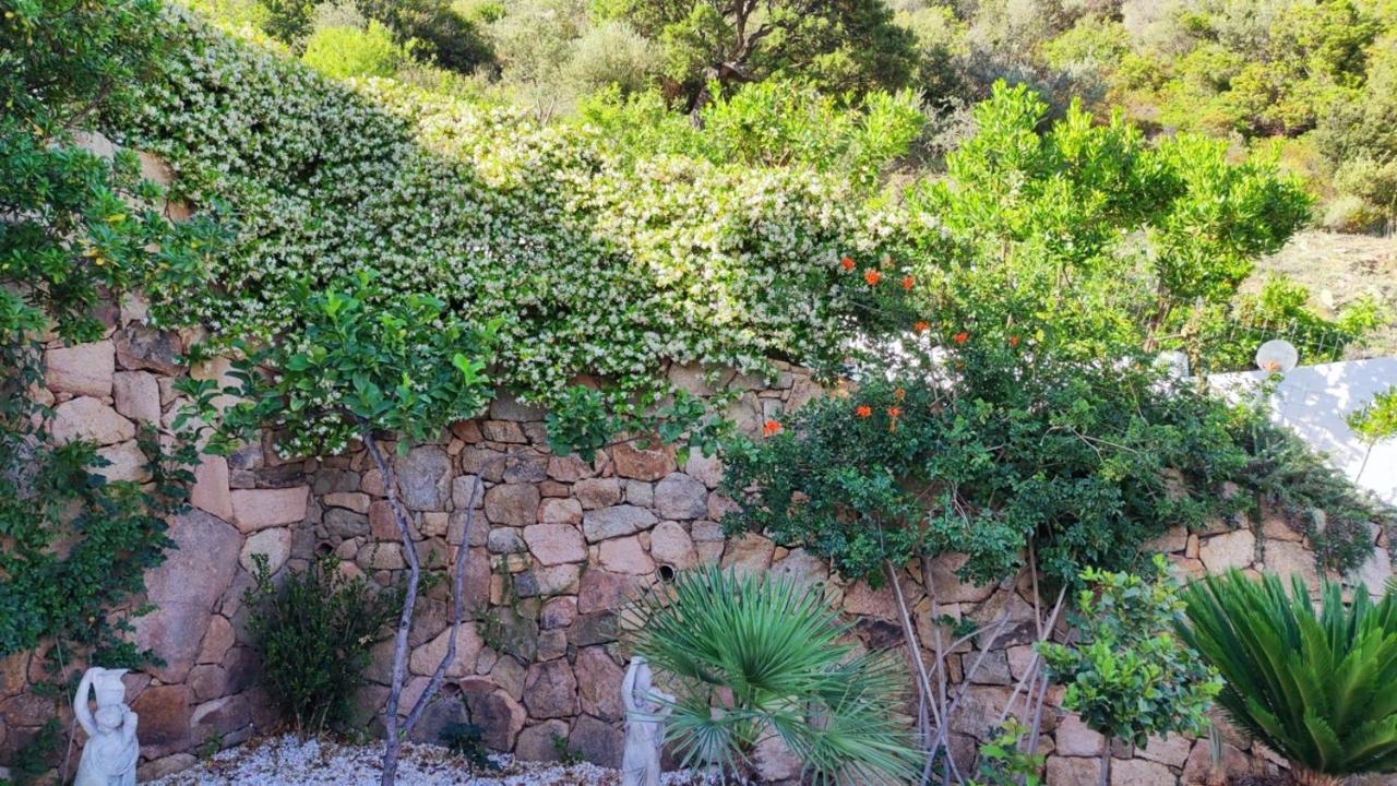 Casa L'Ulivariu Affittacamere San Teodoro  Extérieur photo