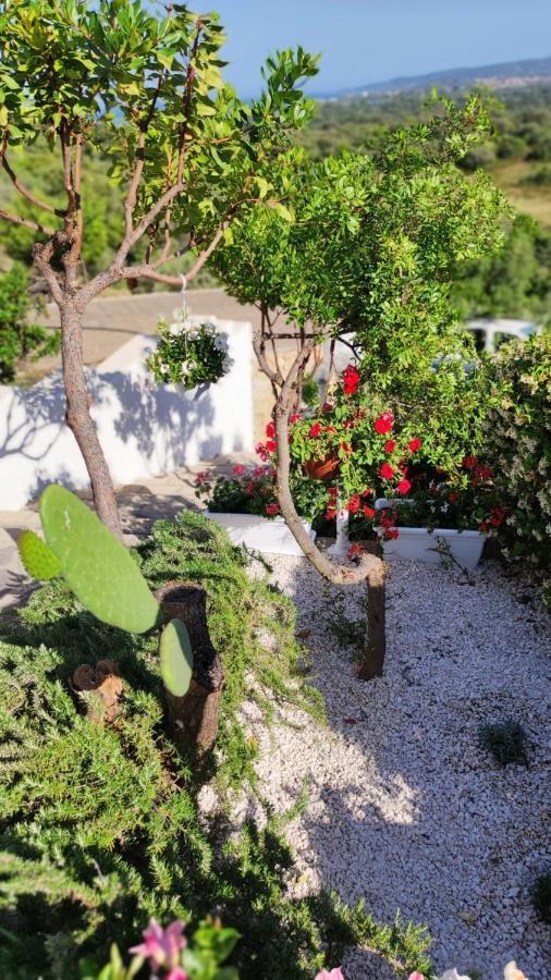Casa L'Ulivariu Affittacamere San Teodoro  Extérieur photo