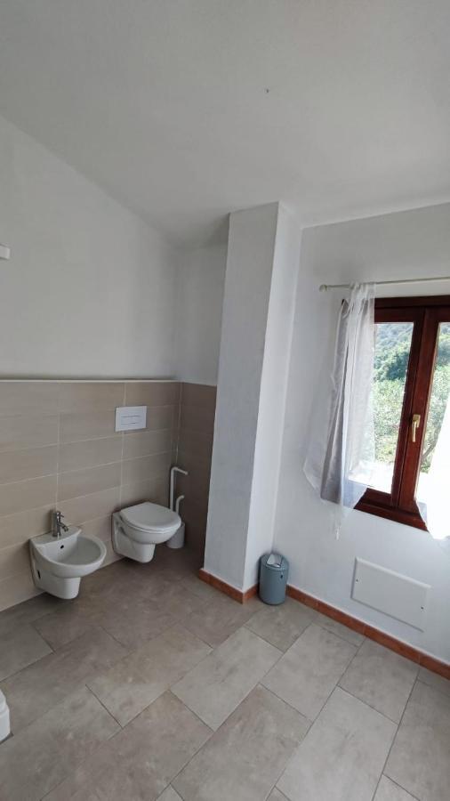 Casa L'Ulivariu Affittacamere San Teodoro  Extérieur photo