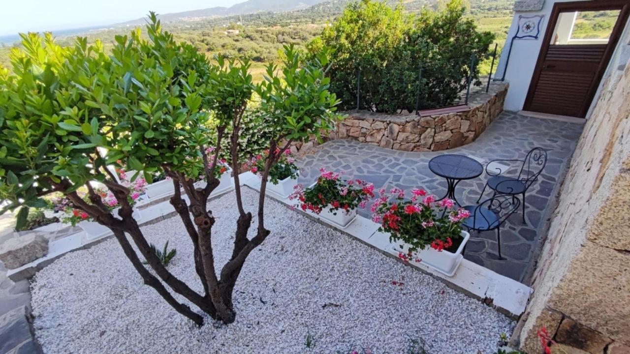 Casa L'Ulivariu Affittacamere San Teodoro  Extérieur photo
