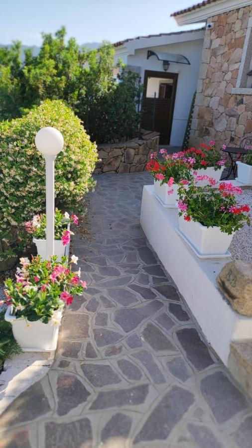 Casa L'Ulivariu Affittacamere San Teodoro  Extérieur photo