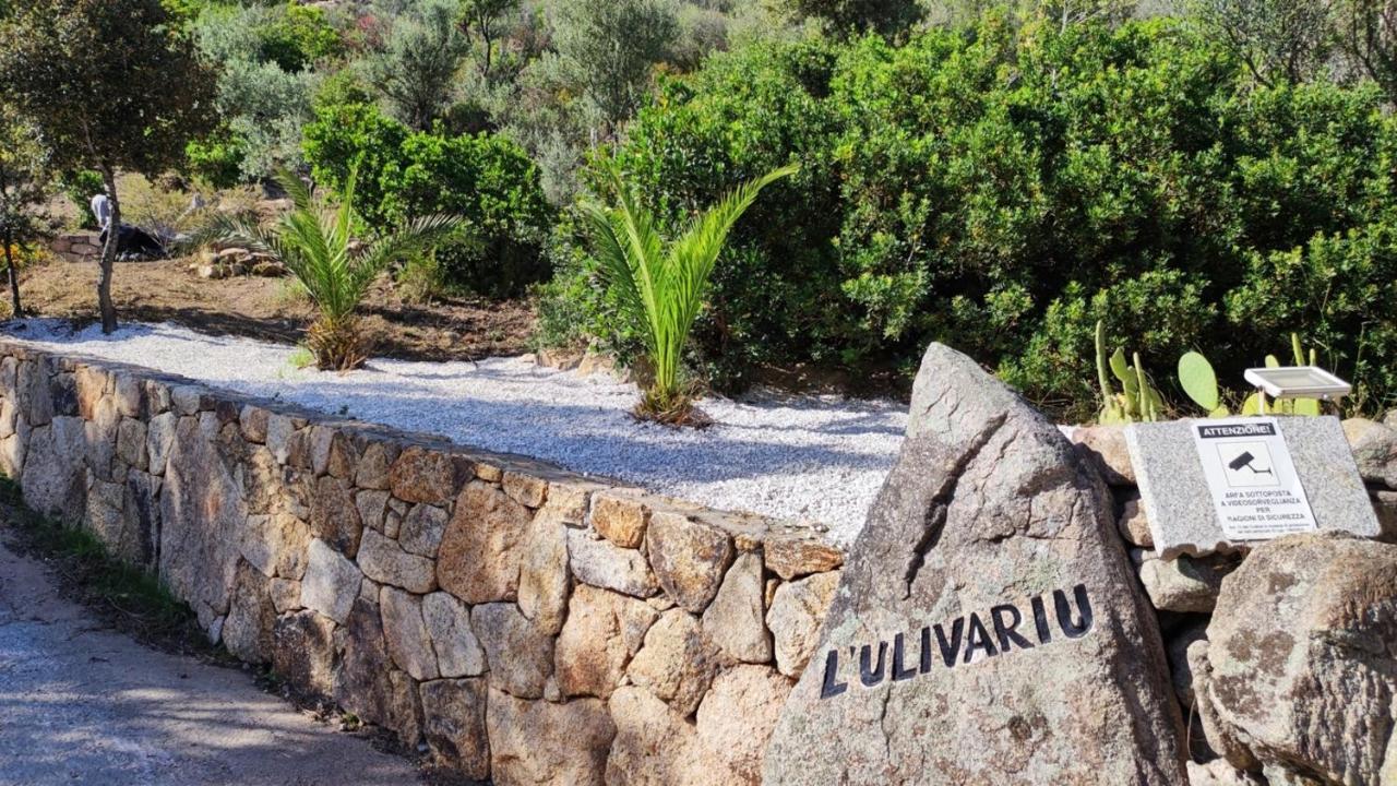 Casa L'Ulivariu Affittacamere San Teodoro  Extérieur photo