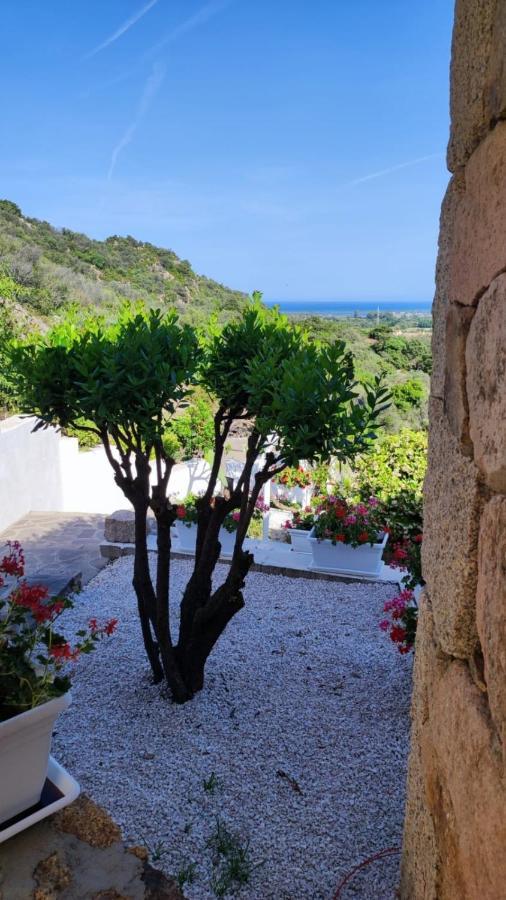 Casa L'Ulivariu Affittacamere San Teodoro  Extérieur photo
