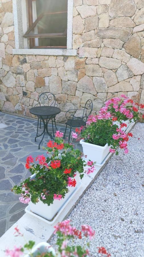 Casa L'Ulivariu Affittacamere San Teodoro  Extérieur photo
